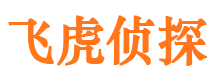 环江市婚外情调查